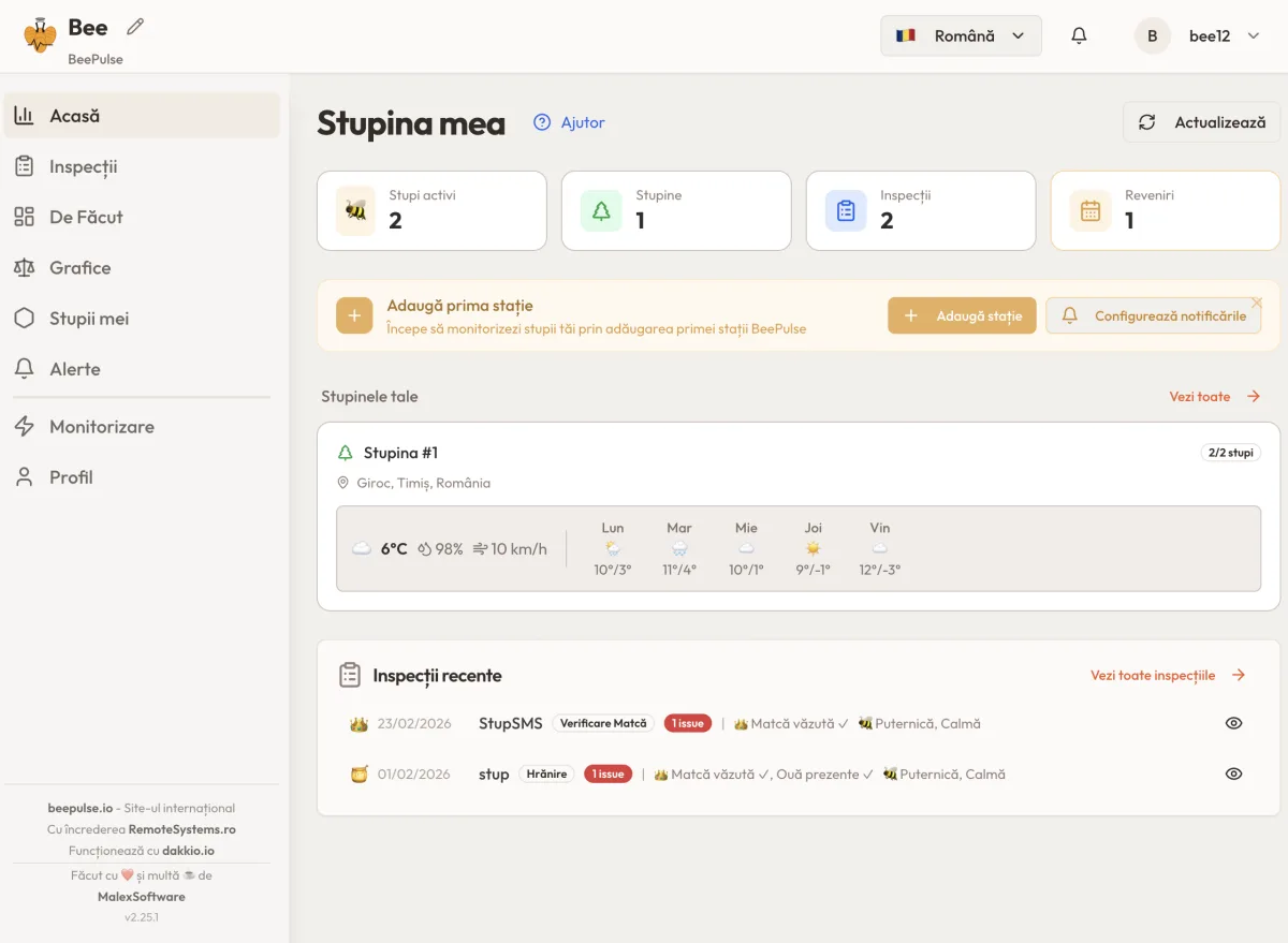 Live Dashboard